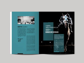 成都與創廣告 為鴻訊電力定制高端精品畫冊與軟件開發設計方案